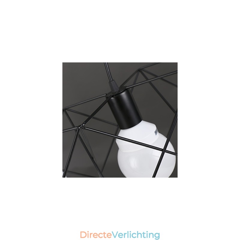 Gecontracteerd en eigentijds creatief ontwerp enkele smeedijzeren kop hanglamp