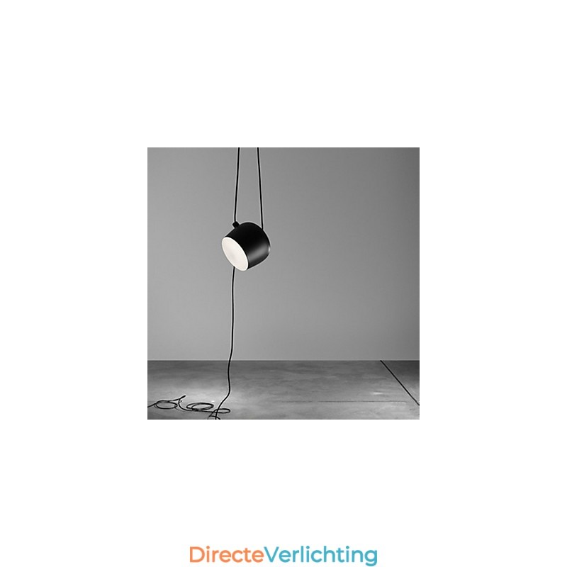 Moderne, eigentijdse metalen hanglamp met schilderij
