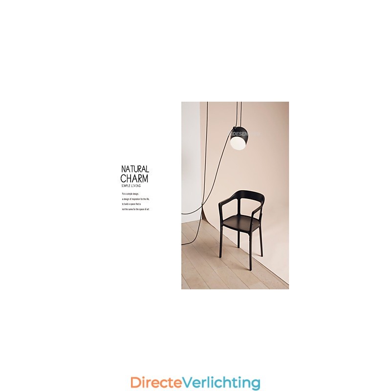 Moderne, eigentijdse metalen hanglamp met schilderij